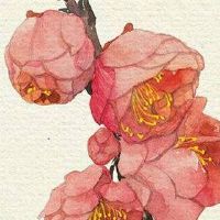 手机号8个8值多少钱 热门大吉的手机号码