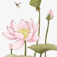 手机号码倒数第五位是5好吗 正财旺福的手机号