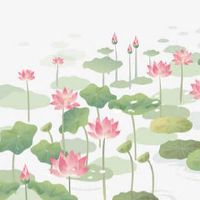 手机尾号是55好不好 超强五行吉利尾号数组