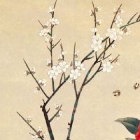 狗和牛在一起对谁不利 生肖狗要学会让步