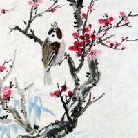 狗和羊在一起对谁不利 怎样化解羊狗不合