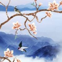 有遇贵纹的女人 发财命 财富纹就是富贵纹吗