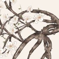 手相图解大全女 右手 算命 手掌红润柔软