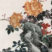 夫妻宫太阳配偶比较成熟吗 太阳星落入宫性格特点