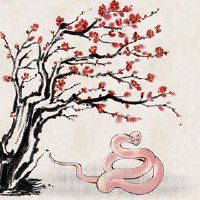 属蛇的一生财运怎么样 正财偏财皆旺盛