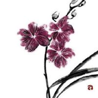 怎么看八字带不带正印 正印之人有进取心