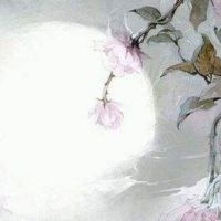 配偶条件好的女命八字 婚后丈夫宠上天