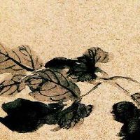 开生鲜超市的大忌 有创意高级店面起名