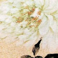 蔬菜超市名字店名大全 洋气有寓意店面取名推荐