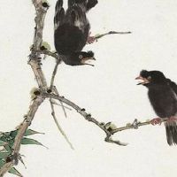 贪狼星入夫妻宫 贪狼星喜欢异性类型