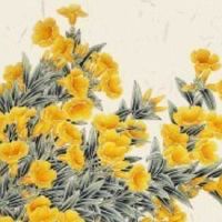 哪些痣不能取面部解析图 面部哪些痣不能去掉