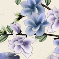 女人面部痣相图解大全 脸有痣的女人长哪里好