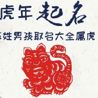 陈姓男孩取名大全属虎