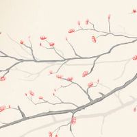 鸡和龙在一起对谁不利 龙和鸡友谊长存