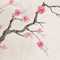 鸡和鸡在一起合适吗 生肖龙兴旺属相鸡运势