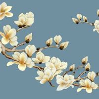 女人脸型面相看命运 下巴丰满的女人旺夫