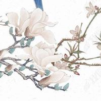 脸上去痣要讲风水吗 面部的痣风水命理