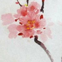 手机尾号5554好吗 超强旺运的手机号码