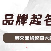 英文品牌起名大全推荐