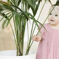 张姓女孩三个字名字大全 灵动活泼女宝宝名字分享