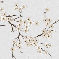 命里没有姻缘的人怎么办 命犯"孤辰"命格姻缘不佳