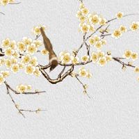 天府在夫妻宫的人另一半 女命夫妻宫有天府配偶命较好