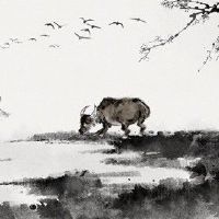 属牛人性格与爱情观 很人踏实富有责任感