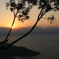 下巴短而圆的男生面相