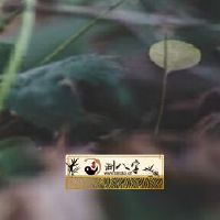 属蛇人离不开的2个贵人到底是谁