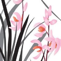 文曲化忌夫妻宫的无奈 文曲化忌命主事业忌口头约定