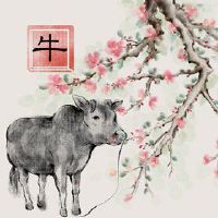 几月的属牛人最有福气 踏实努力有贵人相助