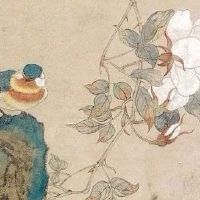 属马和属兔的在一起合适吗 命中相冲要避让