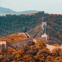 生肖属猪的人2022年5月运势及运程查询