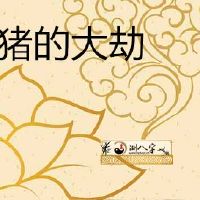 1983年属猪的大劫年份是哪两年