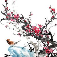 命宫化忌到夫妻宫 命宫化忌入子女宫易与子女生隔阂