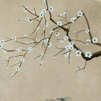 猪和猴在一起对谁不利 孩子属龙有利于两者感情