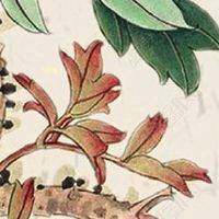 女人额头中间一条竖纹 女人额头竖纹命运分析