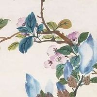 紫微天相在夫妻宫的女生 若与禄存同宫感情幸福吗