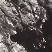 2010年属虎的起什么名字好 名中宜带山木林的字