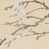 手纹线图解大全男人手相 男人算命看左手还是右手