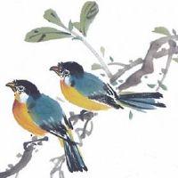 2022年8月30日出生属虎女宝宝命好不好 踏踏实实 家庭幸福