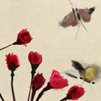 耳朵看面相大全图解:耳朵小的男人的命运