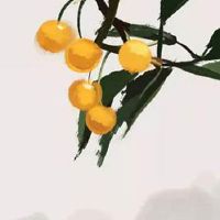 男孩子招风耳说明了什么 招风耳适合他乡立业