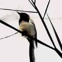 富贵相的女人面相特征 天生命好嫁贵夫