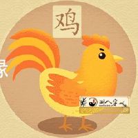 93年属鸡的姻缘在哪儿年