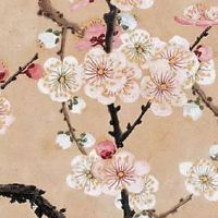 67年羊男2022年运势完整版 事业上稳中求进