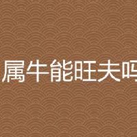 属牛能旺夫吗