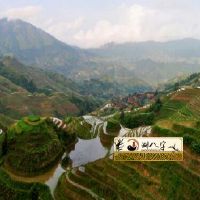 天生龙命之属龙人的龙命分几类