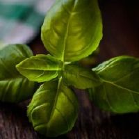 86年属虎人很穷但是36岁