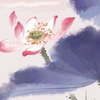 2022年9月10日出生属虎男宝宝是什么命 运势极佳 吃穿不愁